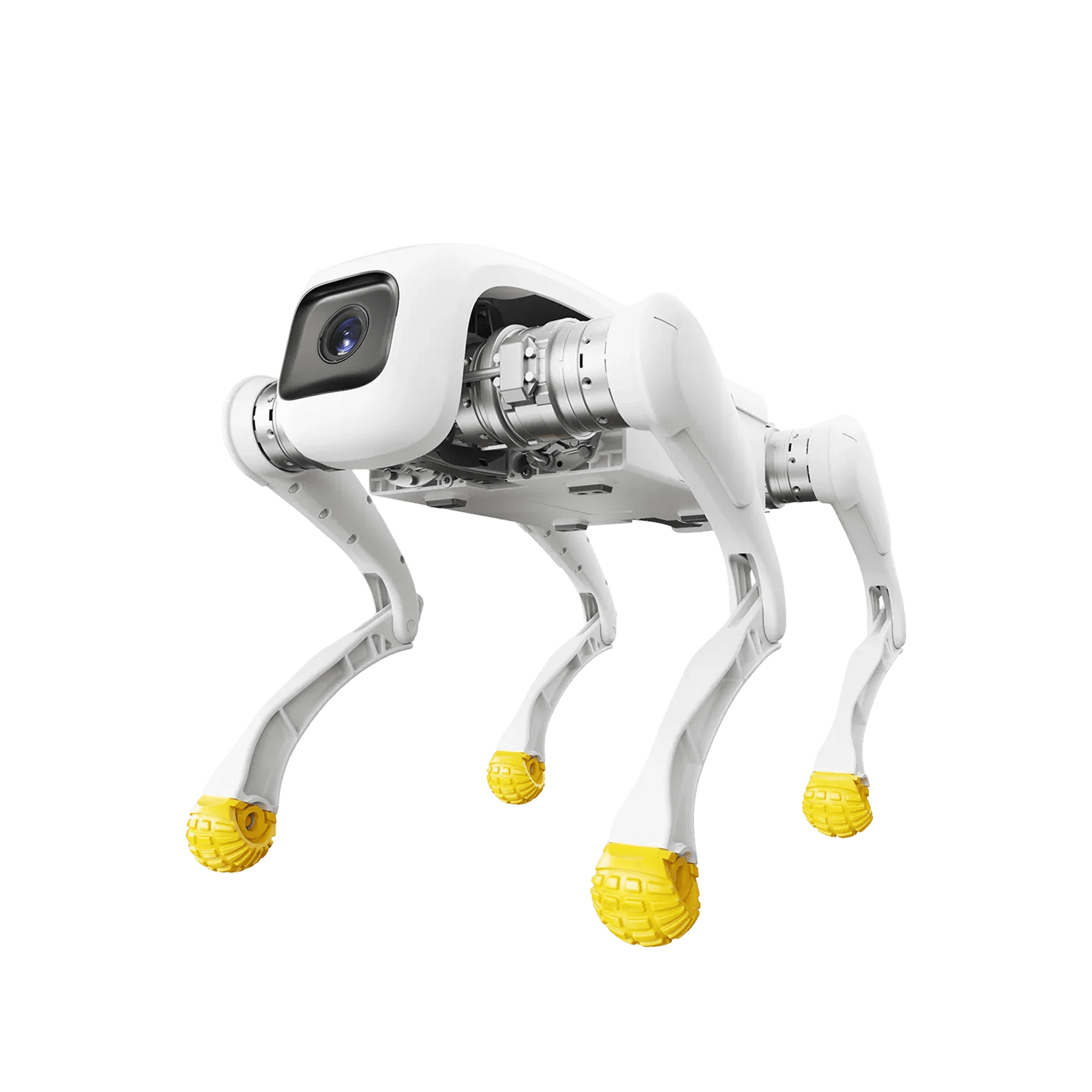 D1 Pro - Image 1