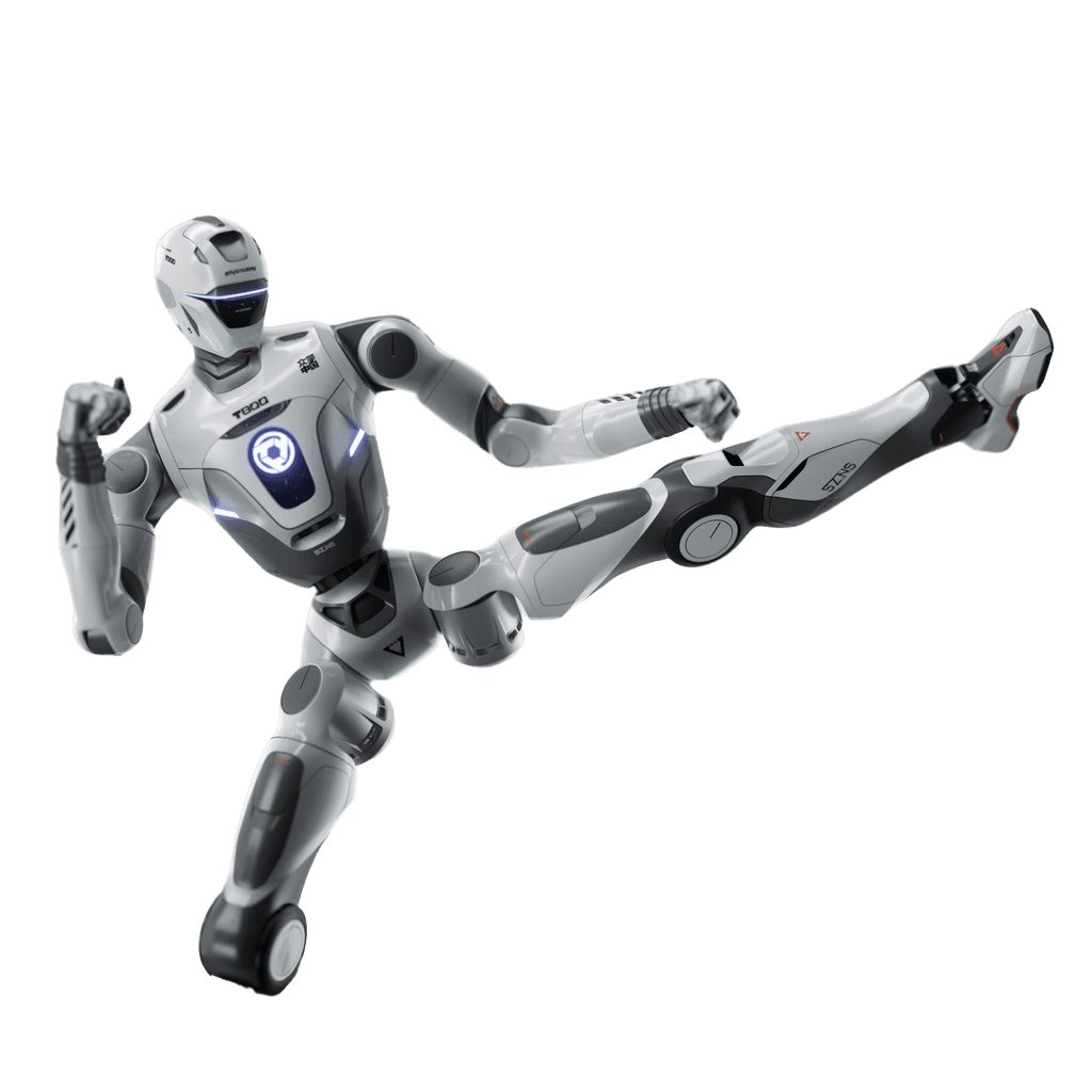 T800 - Image 1